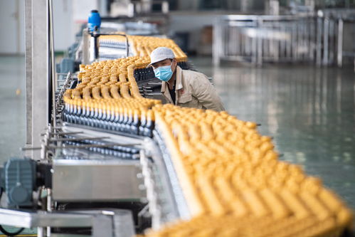 新華全媒 湖南甯鄉 食品企業加工忙